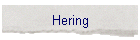 Hering