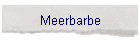 Meerbarbe