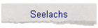 Seelachs